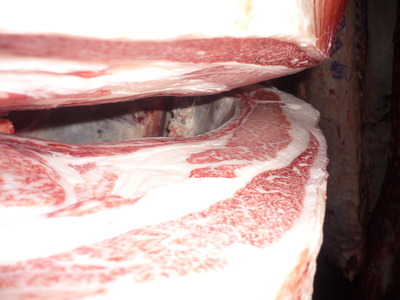 ͥ�ɾޡ�56�������쭢