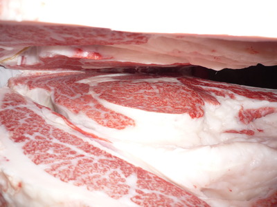 ͥ�ɾޡ�151�����ϢPF�����Ҿ쭡