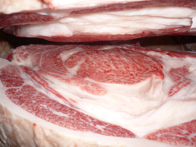 ̾ÍÀ¾Þ¡¡095Á°ÀîÃé¾¼¡