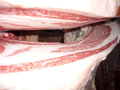 09¸¦½¤ÇÀ¾ì¢