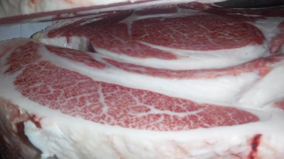 20200616.6�µ����󥿡���