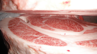 038���ļ���(ͥ�ɾ�)��