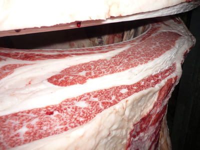 Í¥½¨¾Þ£³ÀÊ113ß§ß·ÃÜ»ºê¢