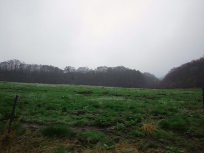 b76f0108.jpg