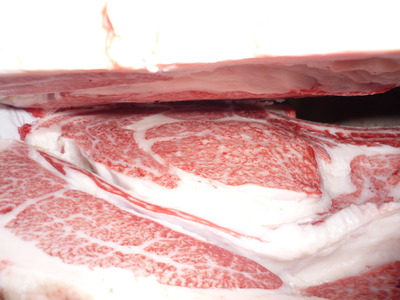 ͥ���ޣ��ʡ�135�����ϢPF�����Ҿ쭡