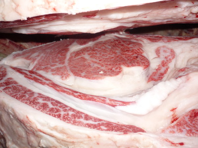 ��ͥ���ޡ�170�������׭�