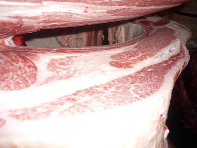 ��ͥ���ޡ�17Ȫü��