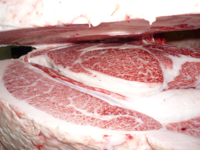 ͥ�ɾޡ�079�����ڹ�����