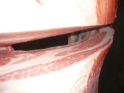 ºÇÍ¥½¨¾Þ¡¡54ë²ÃÆ£ËÒ¾ì¢