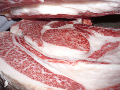 Í¥½¨¾Þ£±ÀÊ141±§ÅÔÌÚ¹§¹À¡