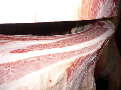 Í¥ÎɾÞ089¶¶ËÜÃÜ»ºê¢