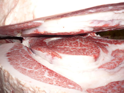 ͥ���ޣ���150��ƣ�Ҿ쭡