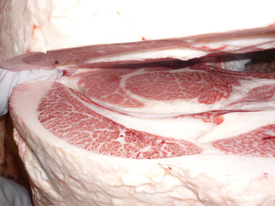 ̾���ޡ�057����������