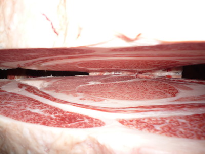 ͥ�ɾޣ���062(��)���Х�����