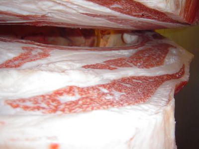 ��ͥ���ޡ�14������ˮ��?