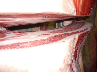 ͥ�ɾޡ�4123����ˮ�˭�