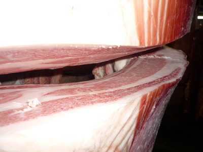 ̾ÍÀ¾Þ¡¡°Âã¢