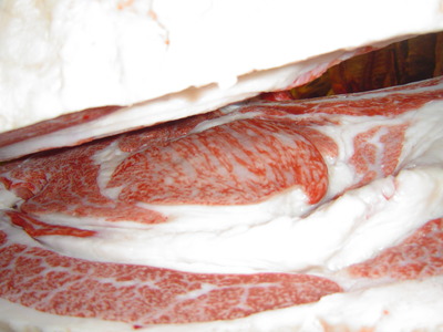 ͥ�ɡ�����1