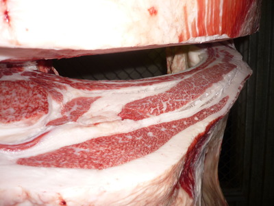 ͥ�ɾޡ�135�����ҭ�