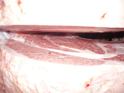 ͥ�ɾޡ�55�������­�