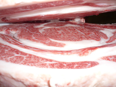 ͥ���ޣ��ʡ�������ĸ������쭡