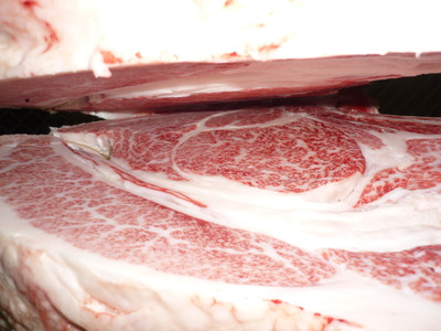 Í¥ÎɾÞ142ÎëÌÚÀ¯ÎÉ¡