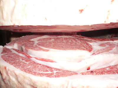 ͥ���ޣ��ʡ�21���