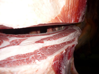 ͥ�ɾޡ�114��ƣ�Ҿ쭢