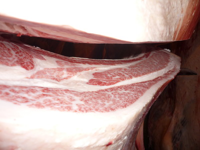 ͥ���ޣ��ʡ�093������δ��