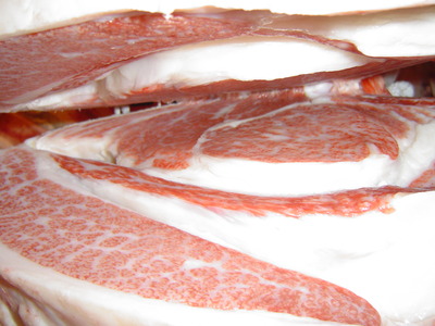 ͥ����3�ʡʰ��˲�ƣ�Ҿ쭡