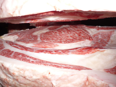 ͥ�ɾޡ�132�߳ڽ��׭�