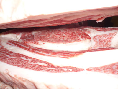 ͥ���ޣ��ʡ�135�߳ڽ��׭�