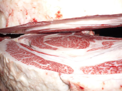 Í¥Îɾޡ¡064À®Åç¹î¸Ê¡