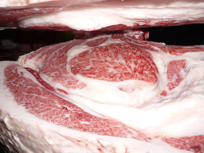 Í¥Îɾޡ¡057º´Æ£¹¨Ìï¡