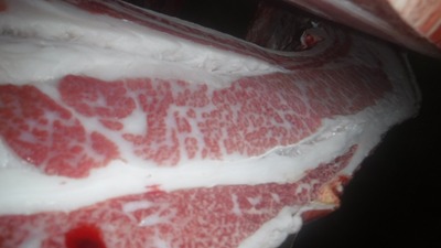 20201013.6���ĭ�ͥ����1��