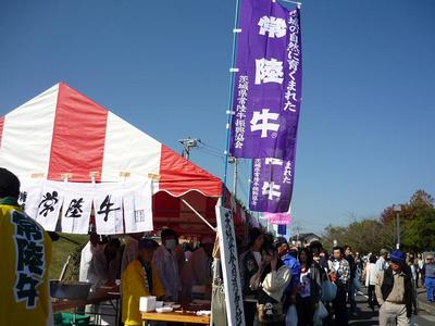 ccf0c805.JPG