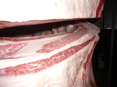 Í¥Îɾޡ¡091ÊÆÊ¿ËÒ¾ì¢