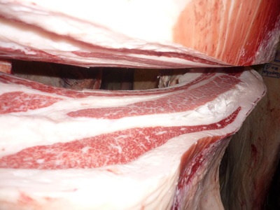 ºÇÍ¥½¨¾Þ¡¡099¿·´§Ä®ÍËÒÌî¢