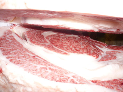 Í¥Îɾޡ¡137¾å»ÎËÚÄ®ÇÀ¶¨Èî°é¥»¥ó¥¿¡¼¡