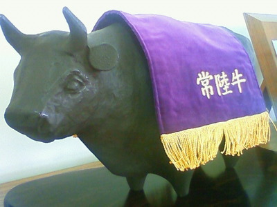 cf889934.jpg