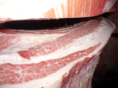 207�����ϢPF�����Ҿ쭢