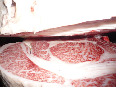 ͥ���ޣ���11�����ϢPF�����Ҿ쭡