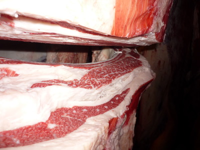 �侩��77̤��ե����ୢ