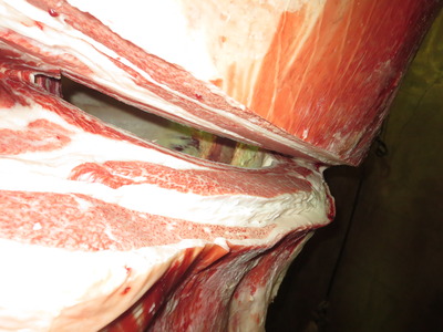 20201106.146��쭢