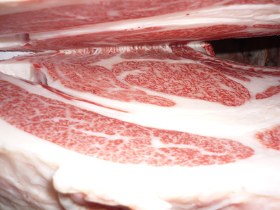 ͥ�ɾޡ�23��¼���Ļҭ�