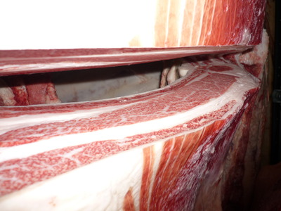 ͥ�ɾ�24����GF��