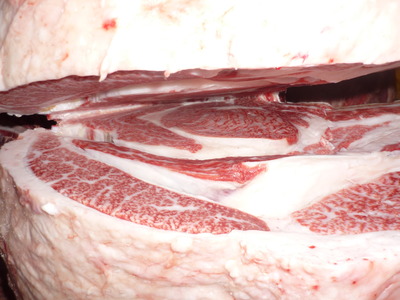 ͥ�ɾޡ�173�ޤĤ���Ҿ쭡