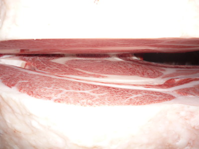 Í¥½¨¾Þ¡¡042ÎëÌÚͳ¹Ô¡