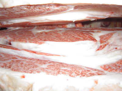 ��ͥ���ޡ�15����������ʸ?