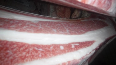 20201013.69���ε����ͥ����3��